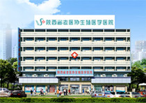 搖擺篩的常見故障及解決方法